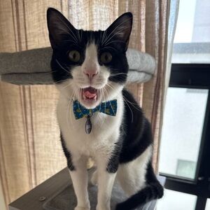 Meet your Posher, Ariana